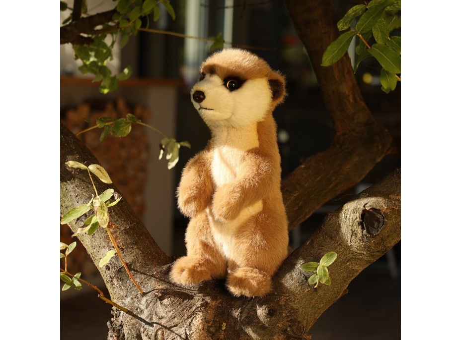 Rappa Plyšová surikata 23 cm SOFT COLLECTION, ECO-FRIENDLY