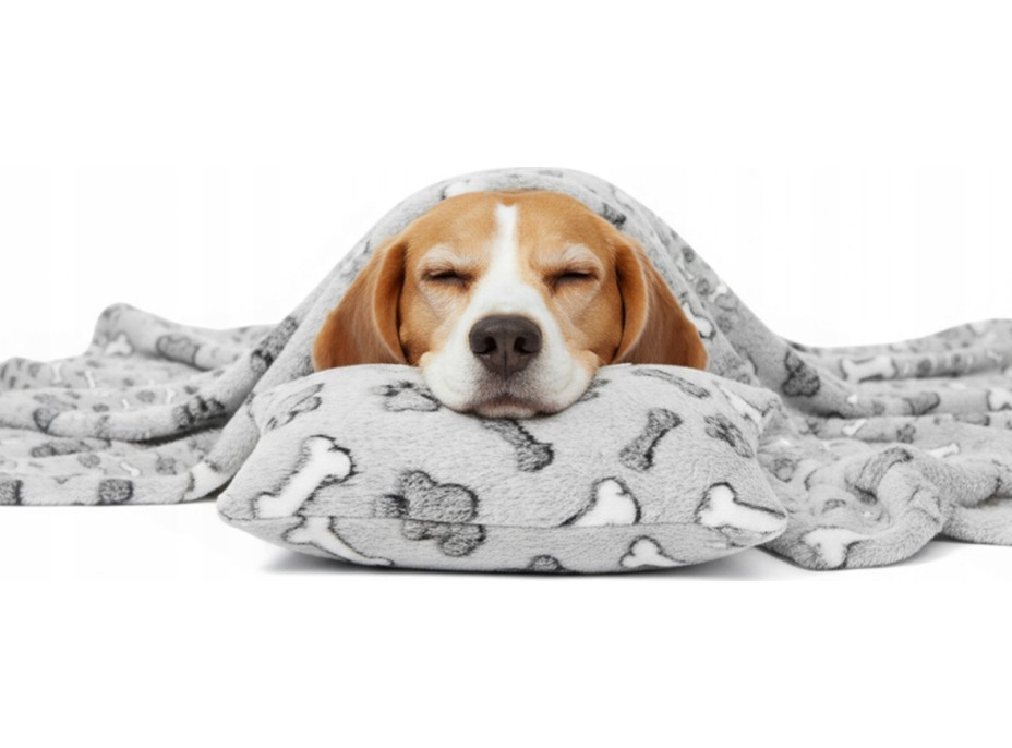 Deka pro psy DOGGY Dream 100x70 cm + polštářek 20x30 cm