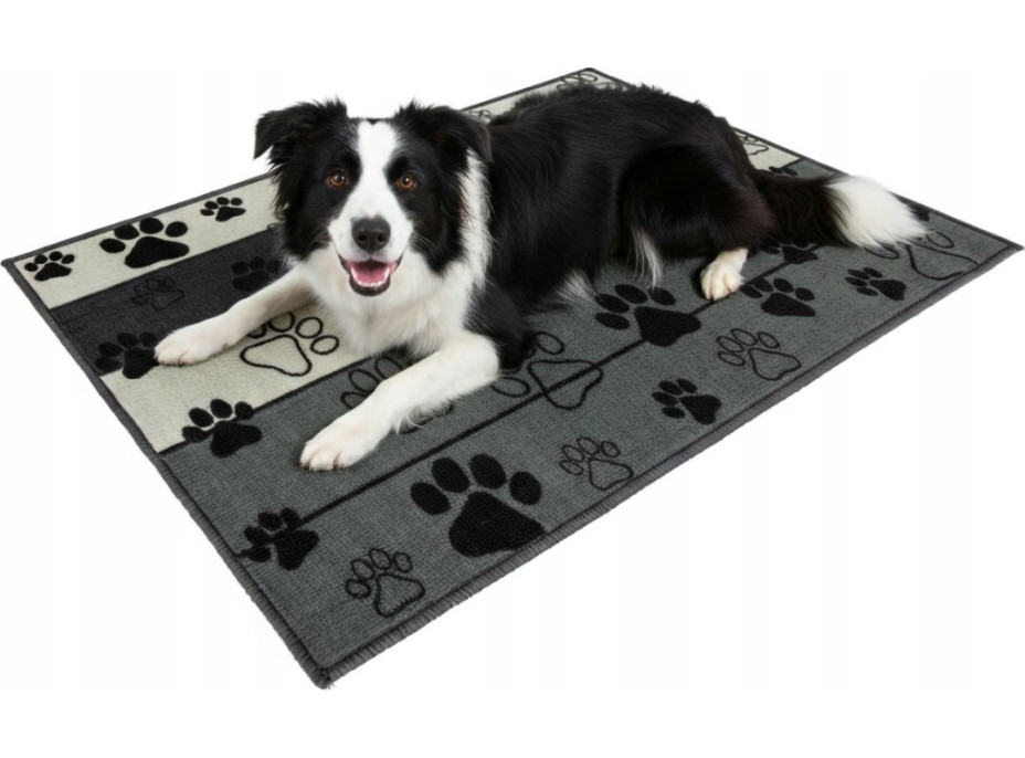 Koberec pro psy Paws & Chill 50x80 cm - šedý