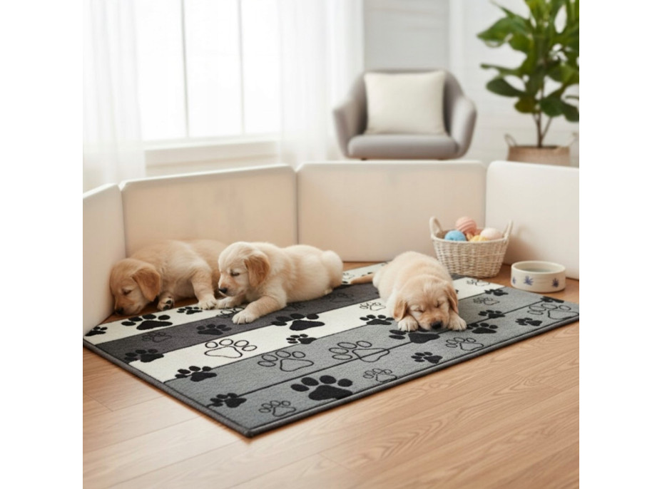 Koberec pro psy Paws & Chill 50x80 cm - šedý