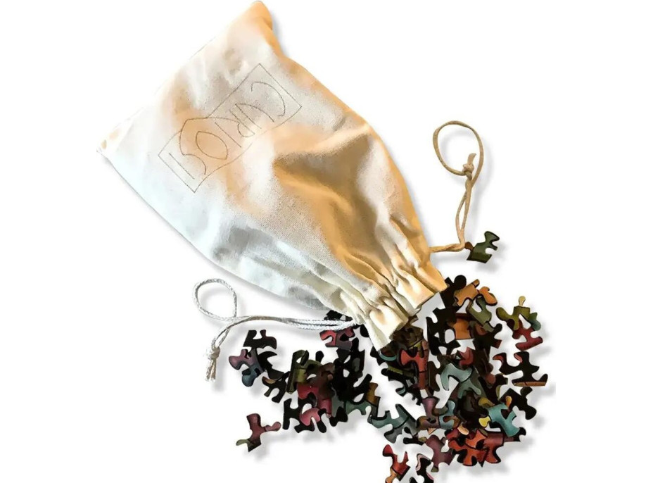 CURIOSI Oboustranné dřevěné puzzle Double: Stonožka 324 dílků