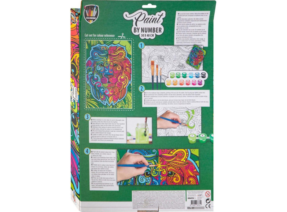 GRAFIX Malování podle čísel: Lev, plátno na rámu 30x40cm