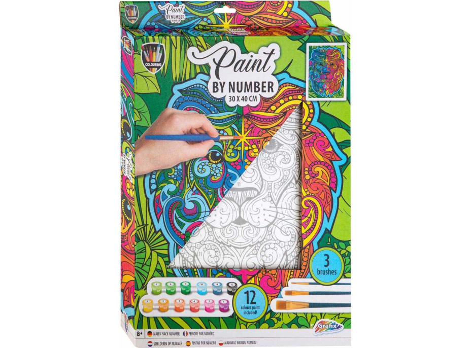 GRAFIX Malování podle čísel: Lev, plátno na rámu 30x40cm