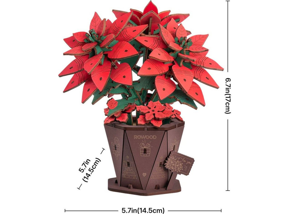ROBOTIME Rowood 3D dřevěné puzzle Vánoční hvězda 153 dílků