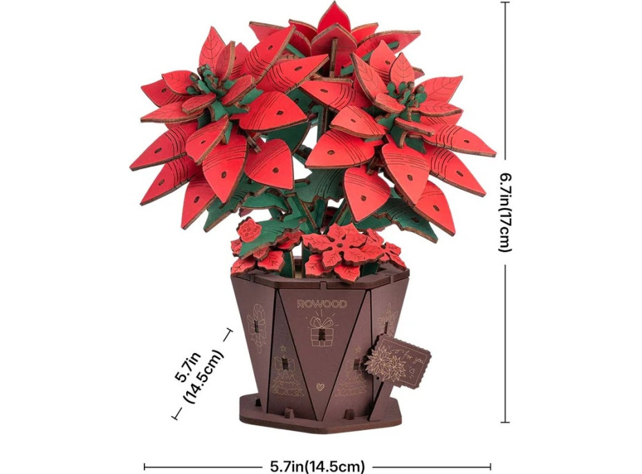 RoboTime 3D dřevěná skládačka Vánoční hvězda