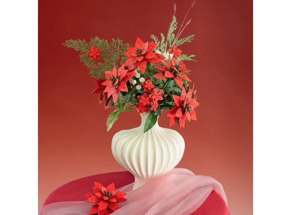 RoboTime 3D dřevěná skládačka Vánoční hvězda