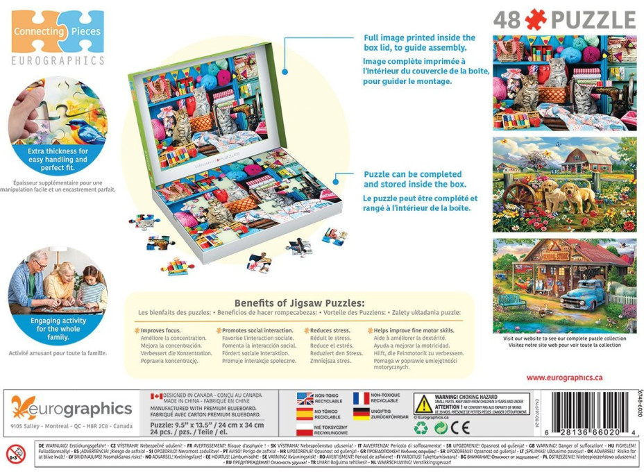 EUROGRAPHICS Puzzle Connecting Pieces: Kočičí pletení 48 dílků