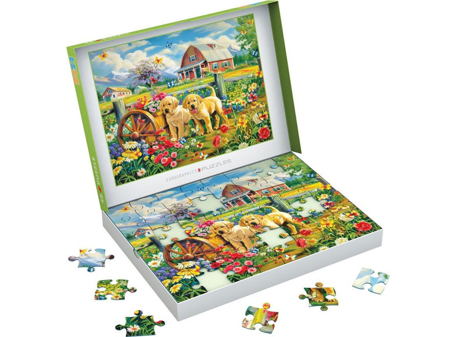 EUROGRAPHICS Puzzle Connecting Pieces: Štěňata na jaře 48 dílků