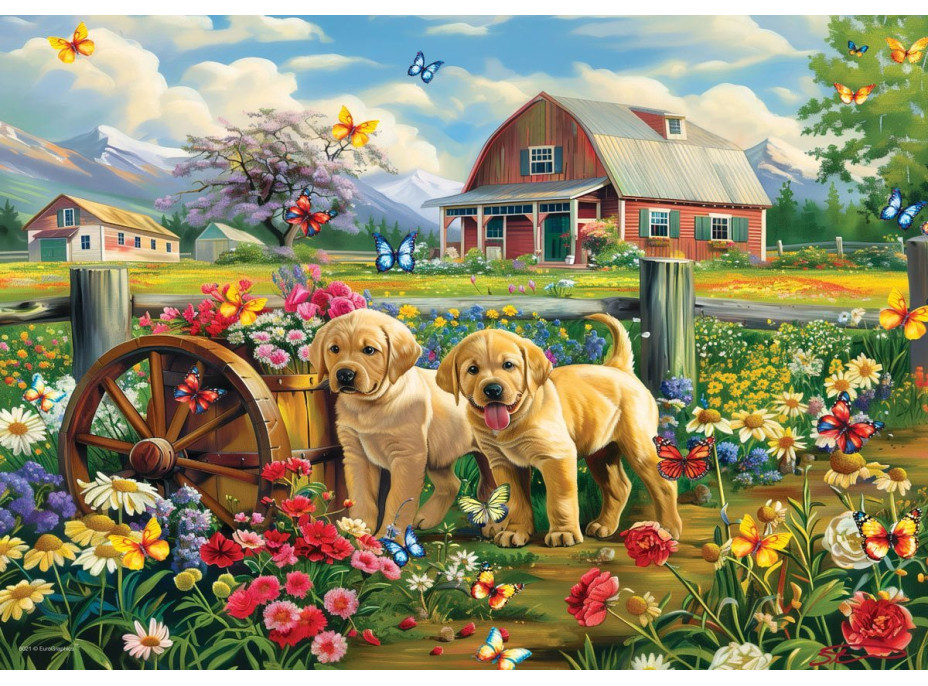 EUROGRAPHICS Puzzle Connecting Pieces: Štěňata na jaře 48 dílků