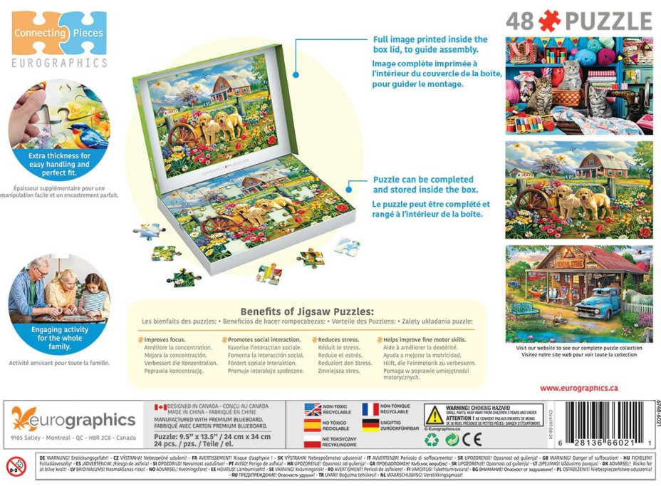 EUROGRAPHICS Puzzle Connecting Pieces: Štěňata na jaře 48 dílků