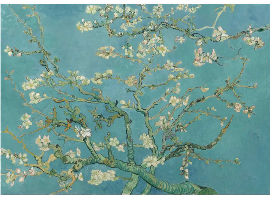 ANATOLIAN Puzzle Mandlový květ XL 700 dílků