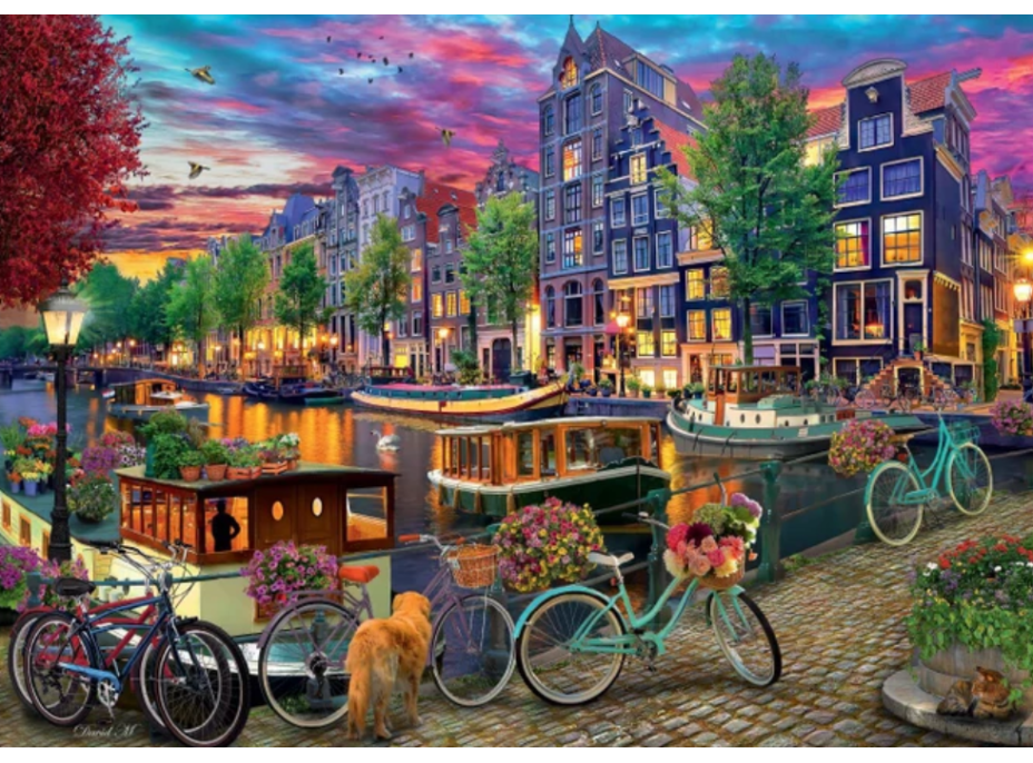 DINO Puzzle Malovaný Amsterdam 2000 dílků