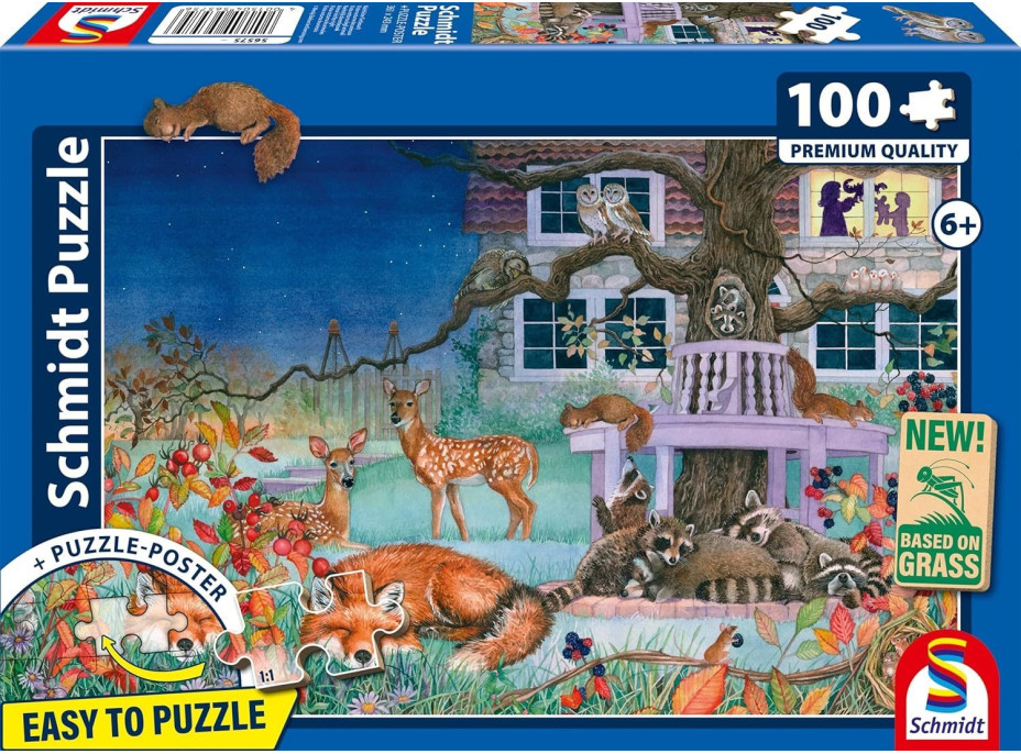 SCHMIDT Puzzle Noční návštěva 100 dílků