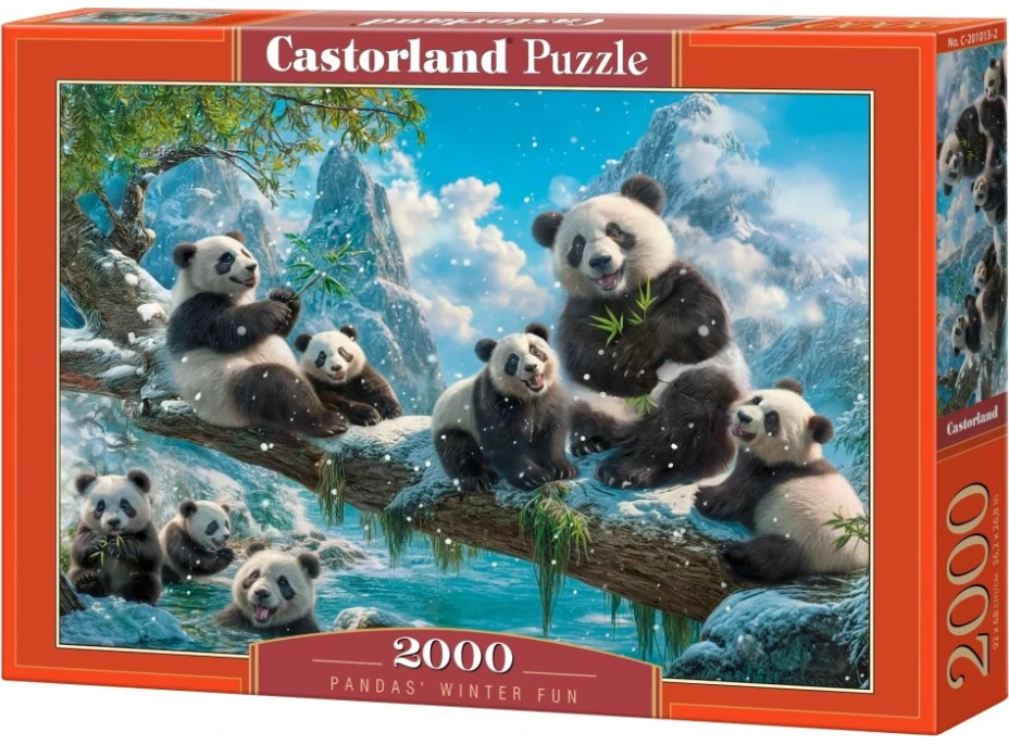 CASTORLAND Puzzle Pandí zimní zábava 2000 dílků