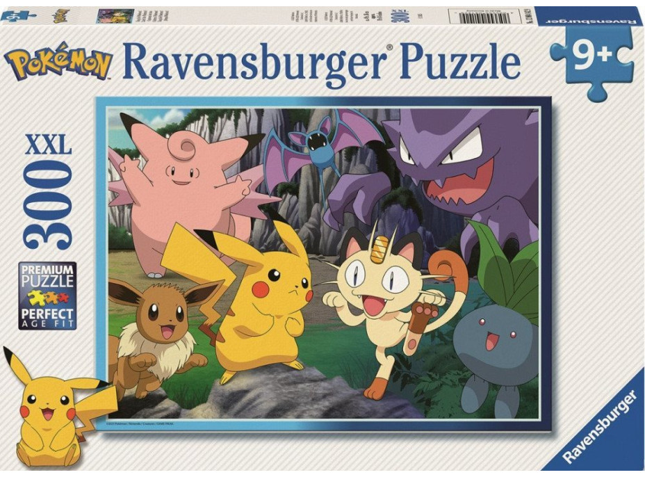 RAVENSBURGER Puzzle Svět Pokémonů 300 dílků