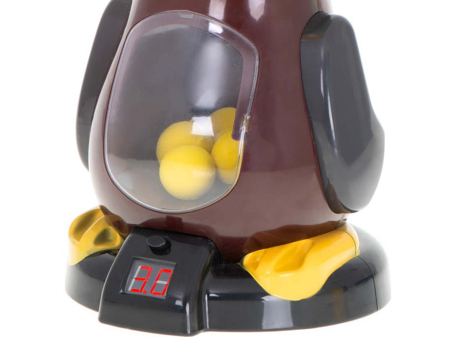 Střelba na terč - Hladová kačena