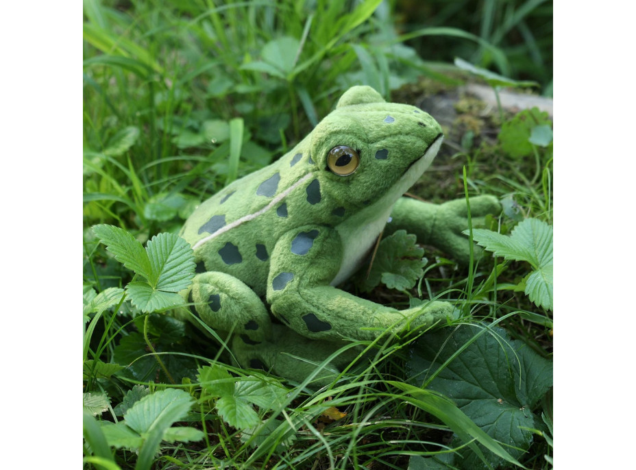Rappa Plyšová žába 19 cm ECO-FRIENDLY