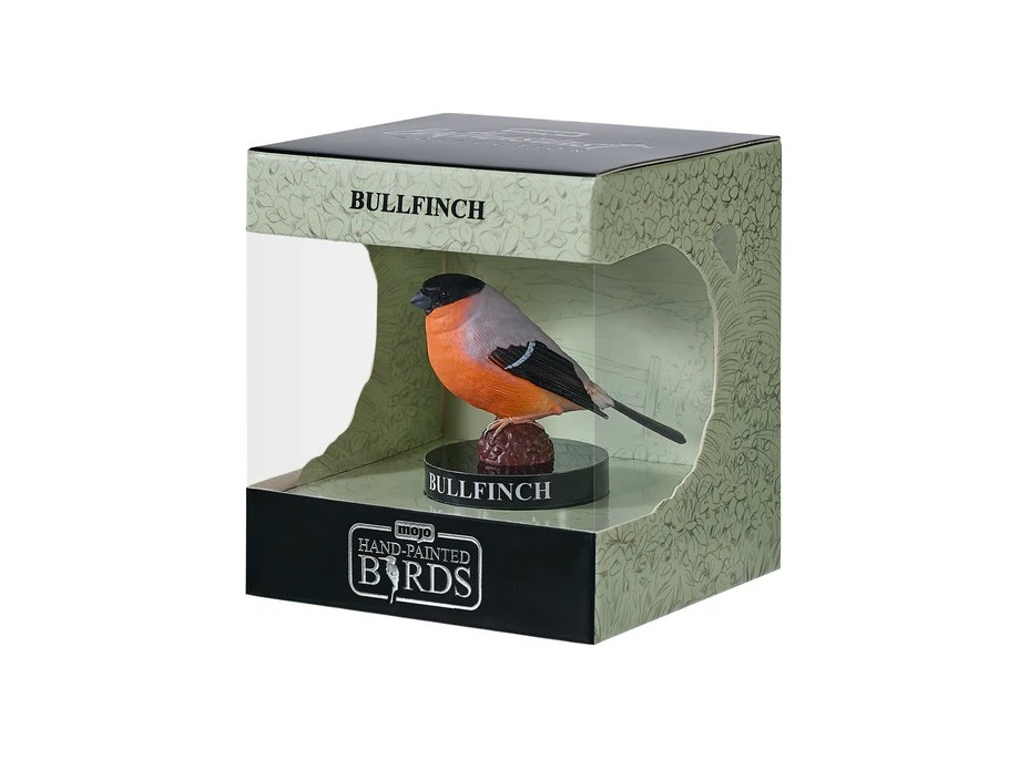 Mojo Hýl obecný v krabičce