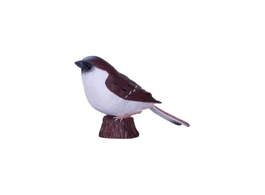 Mojo Vrabec domácí v krabičce