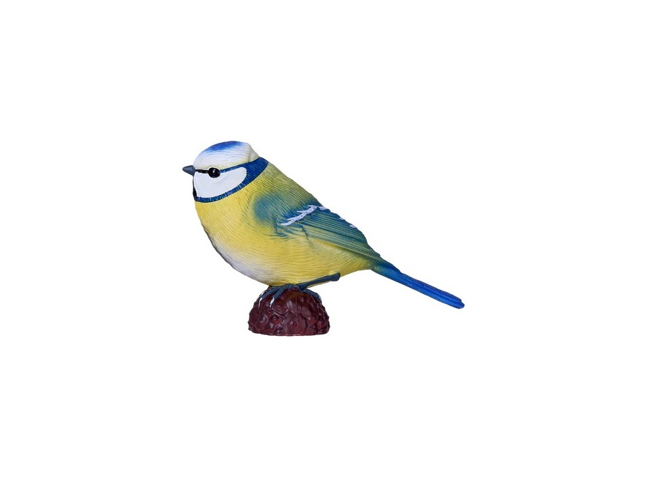 Mojo Sýkora modřinka v krabičce