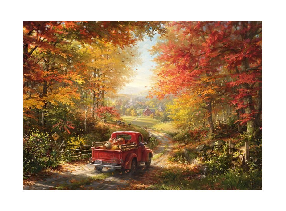 SCHMIDT Puzzle Zpátky doma 1000 dílků