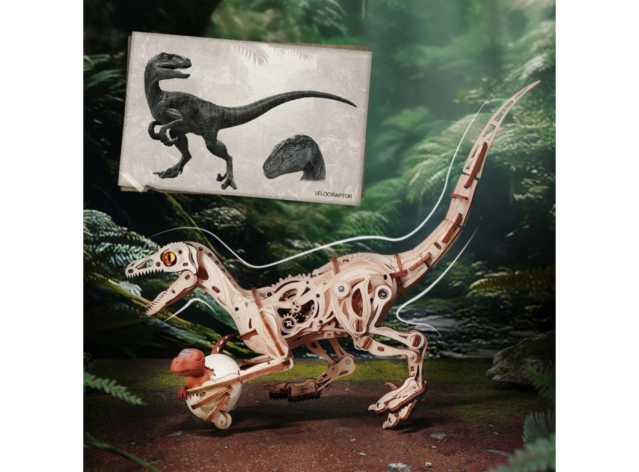 RoboTime 3D dřevěná mechanická skládačka Velociraptor