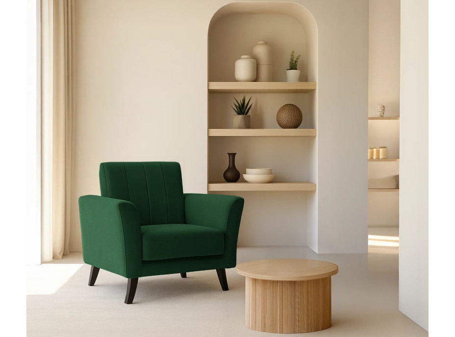 Křeslo LEROY (více variant)