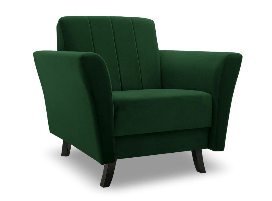 Křeslo LEROY (více variant)