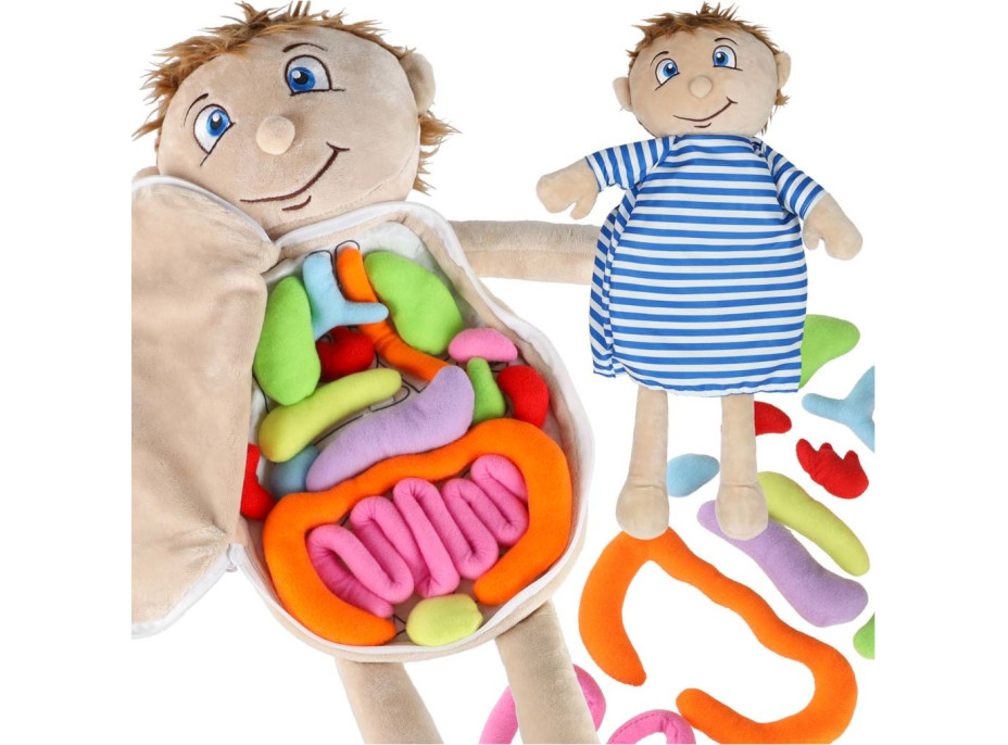 Panenka pro učení anatomie - chlapec