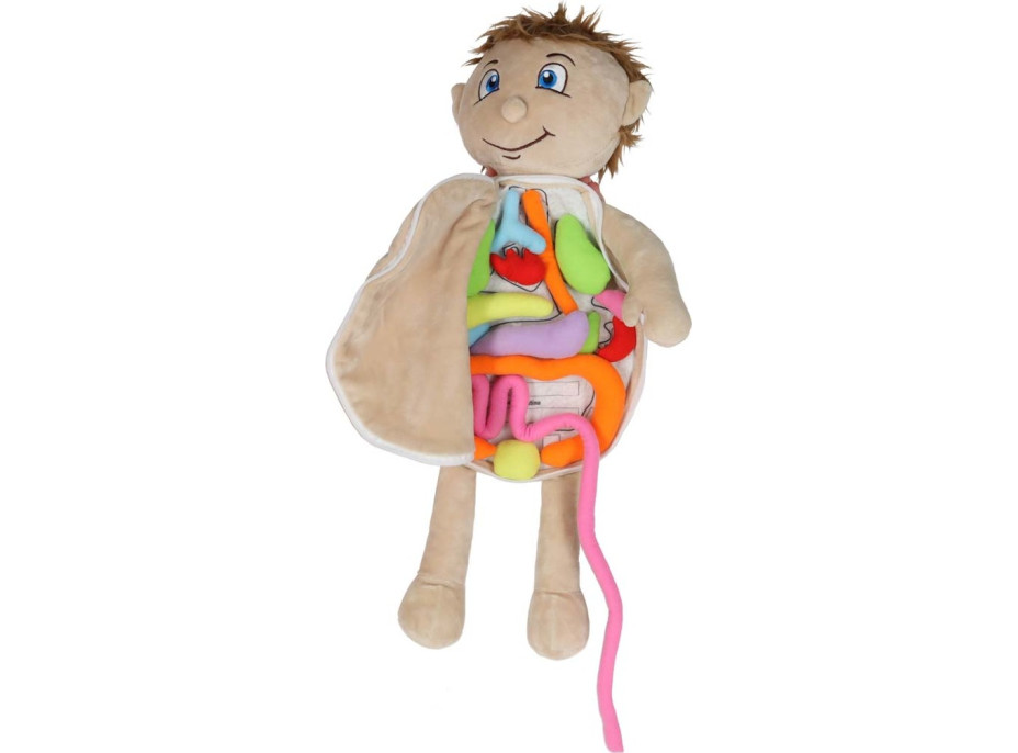 Panenka pro učení anatomie - chlapec