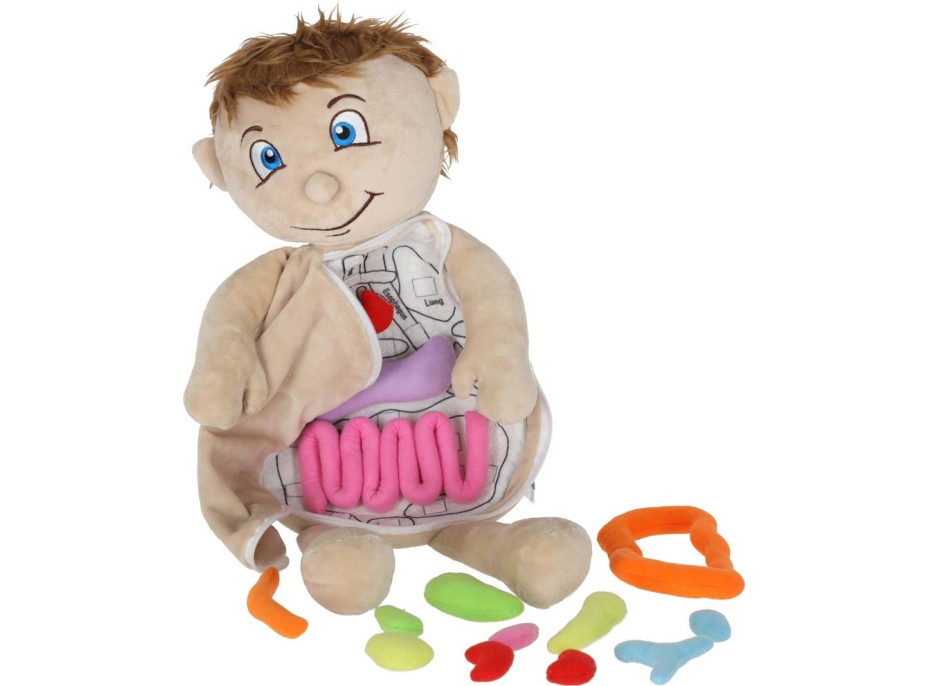 Panenka pro učení anatomie - chlapec