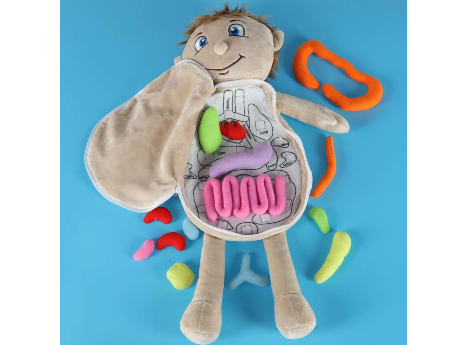 Panenka pro učení anatomie - chlapec