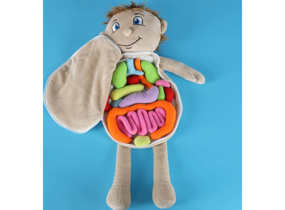 Panenka pro učení anatomie - chlapec