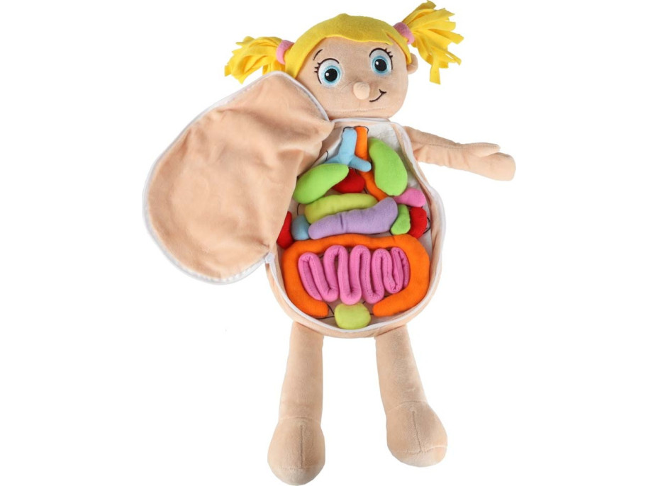 Panenka pro učení anatomie - dívka