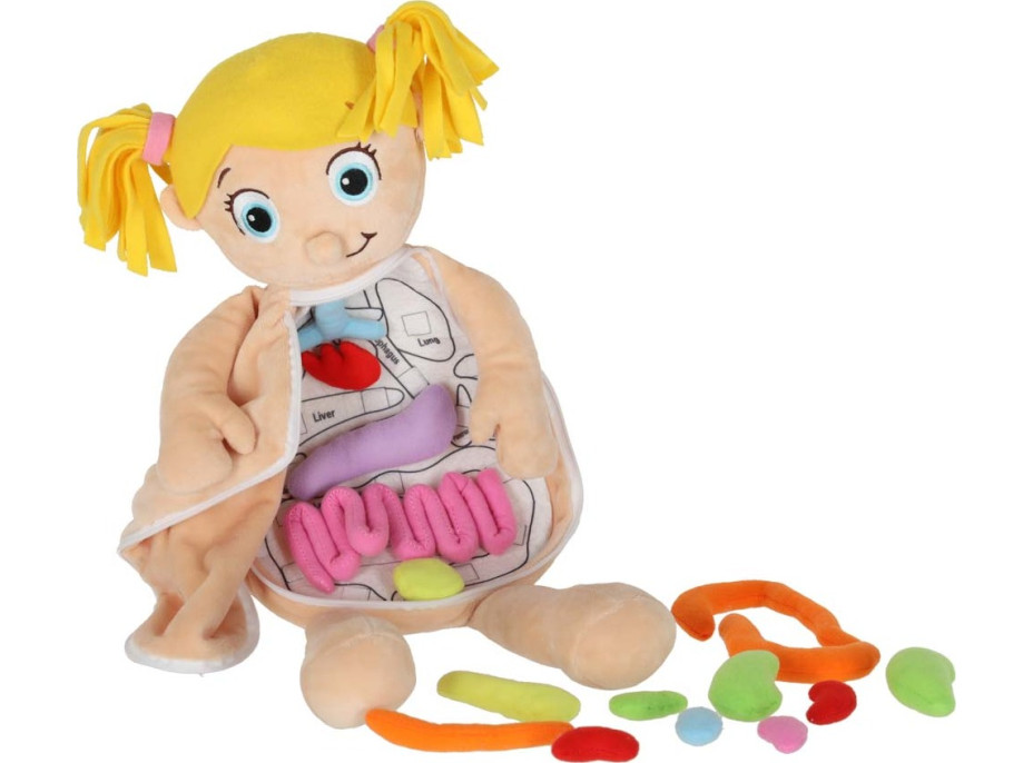 Panenka pro učení anatomie - dívka