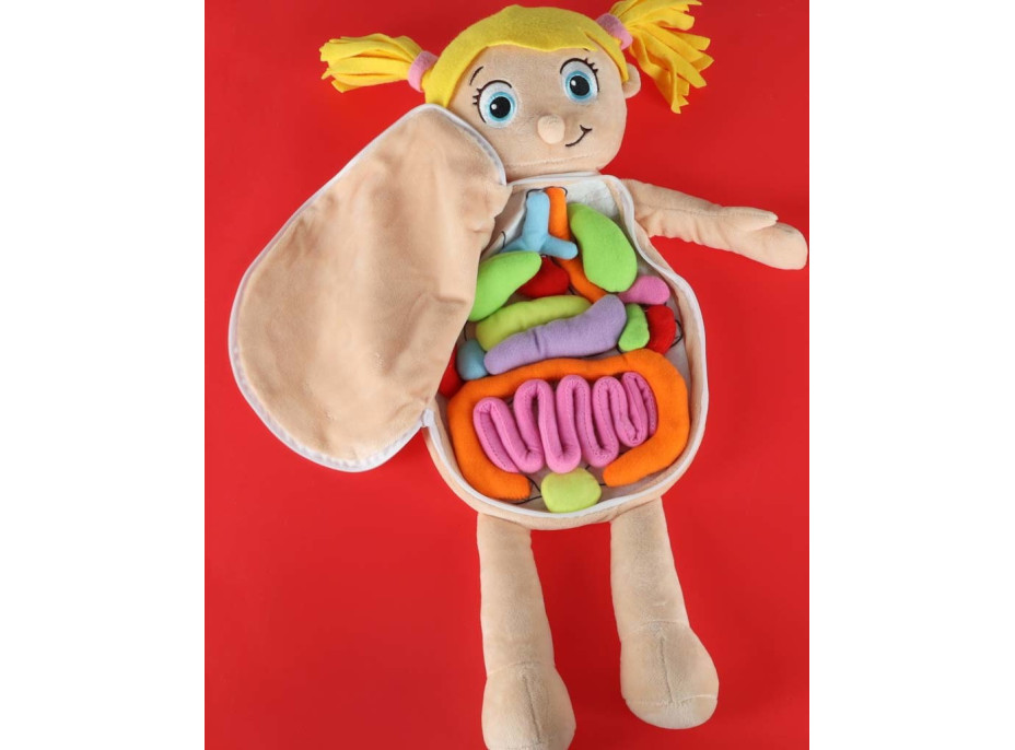 Panenka pro učení anatomie - dívka