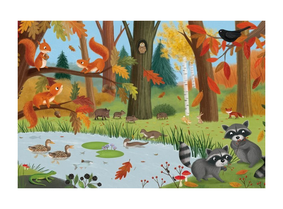 SCHMIDT Puzzle Lesní a luční zvířata 3x24 dílků