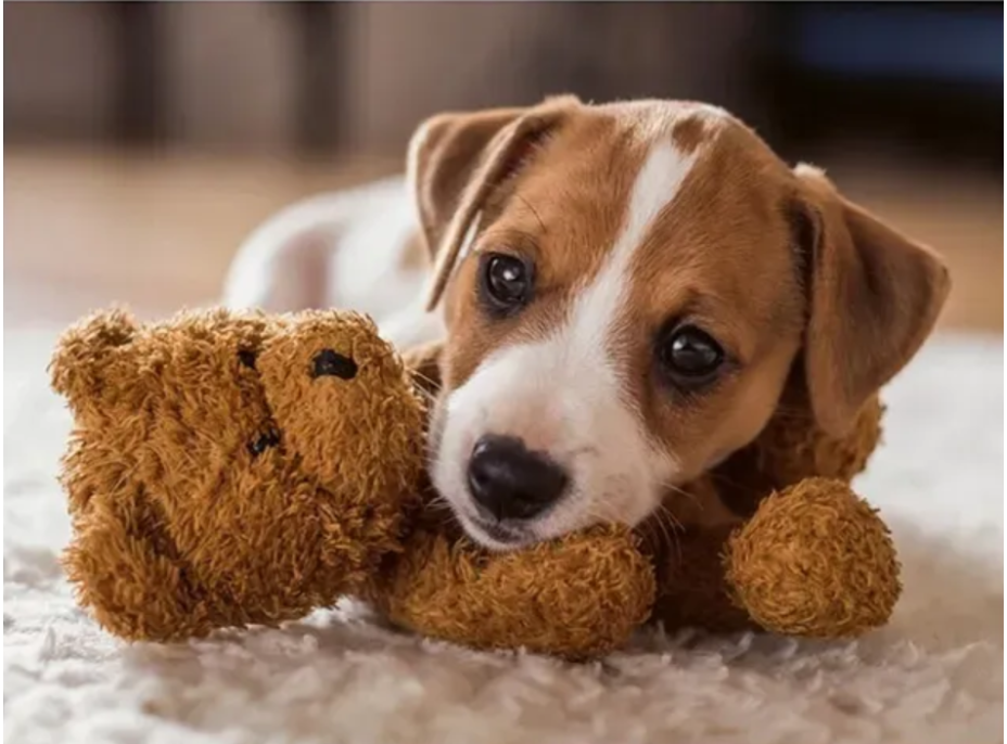 RAVENSBURGER Puzzle Hřejivé objetí 500 dílků