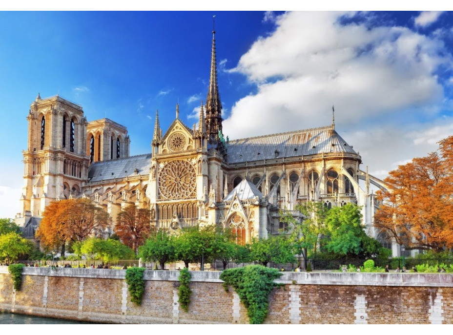 BLUEBIRD Puzzle Katedrála Notre-Dame 1000 dílků