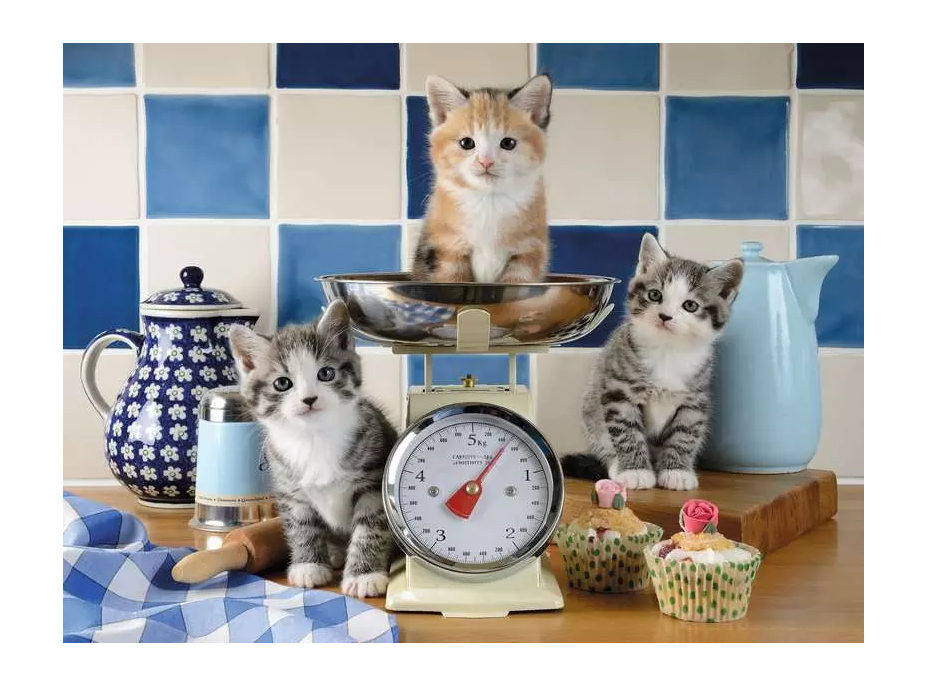 RAVENSBURGER Puzzle Kuchyně u kočiček 1500 dílků