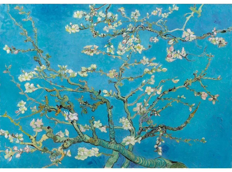 BLUEBIRD Puzzle Mandlový květ 1000 dílků