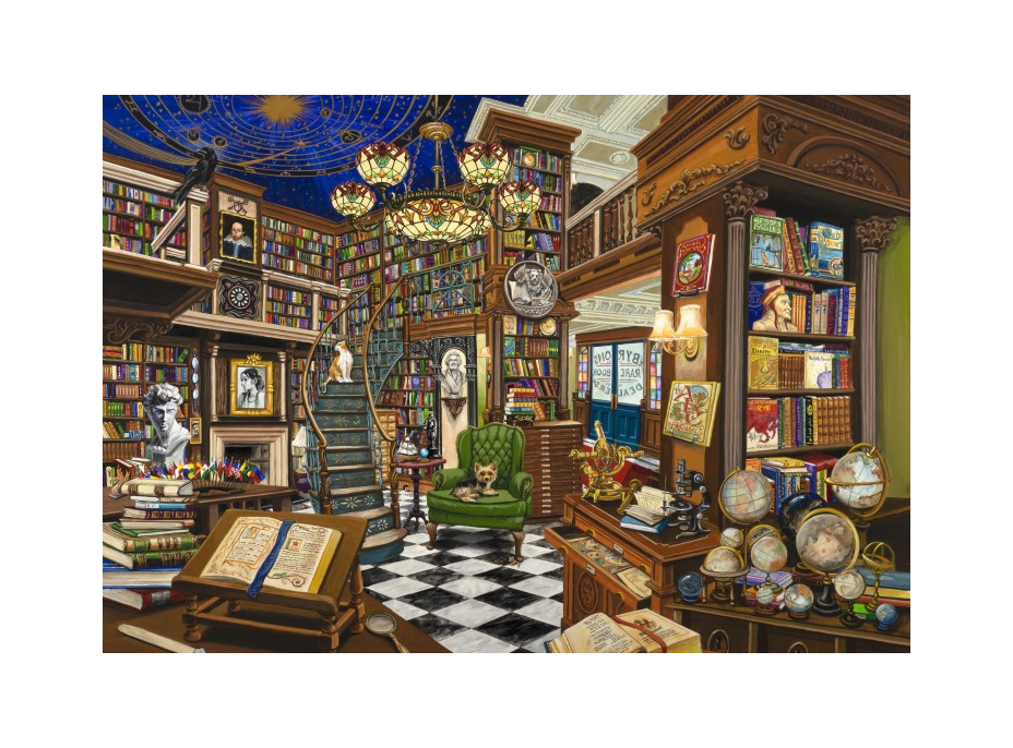 BLUEBIRD Puzzle Prodejce vzácných knih 1000 dílků