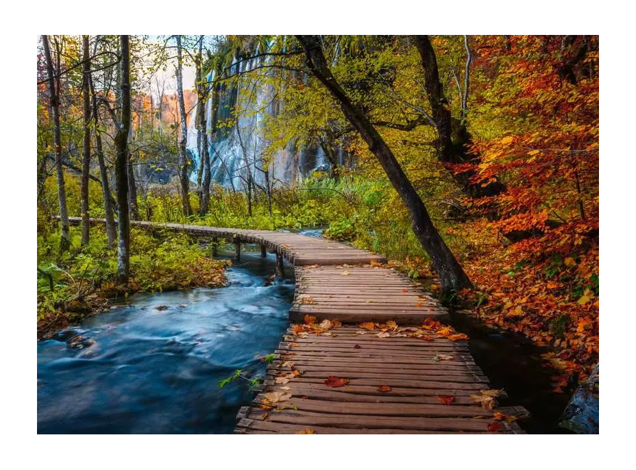 RAVENSBURGER Puzzle Tajemný les 1000 dílků