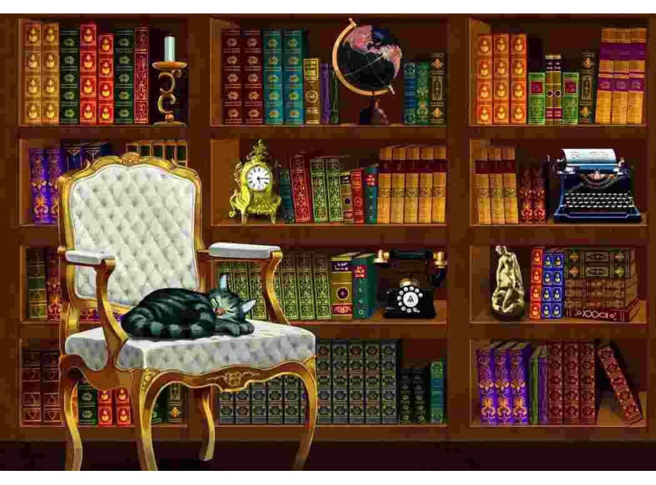 BLUEBIRD Puzzle Vintage knihovna 1000 dílků