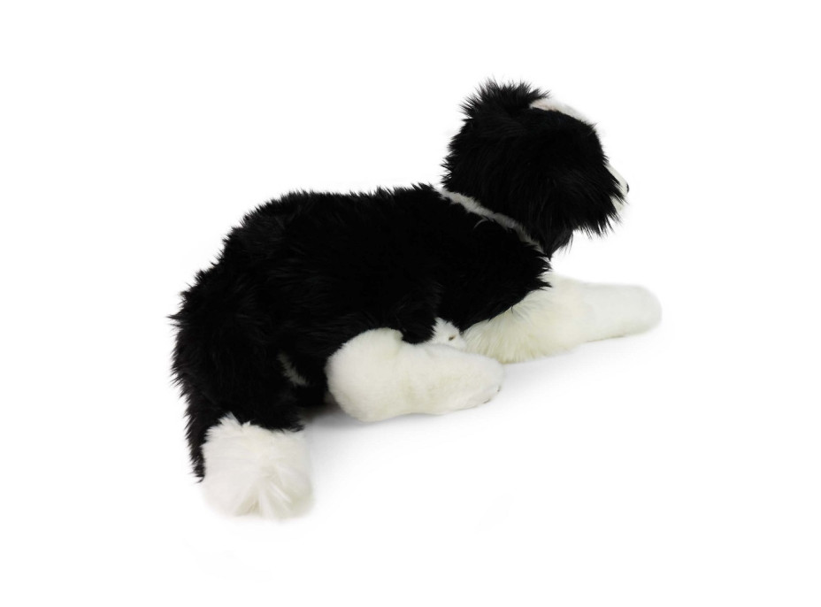 Rappa Plyšový pes border kolie ležící 45 cm ECO-FRIENDLY