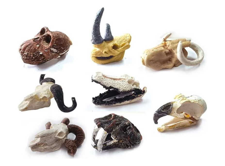 JOKOMISIADA Archeologická sada: Tajemná lebka