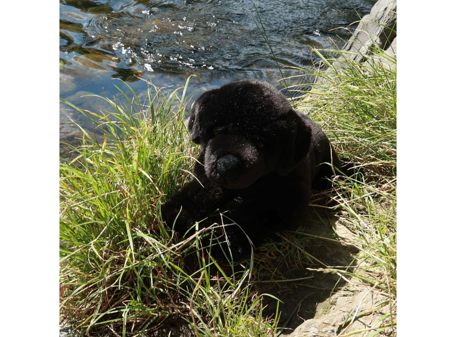 Rappa Plyšový pes labrador 40 cm ECO-FRIENDLY