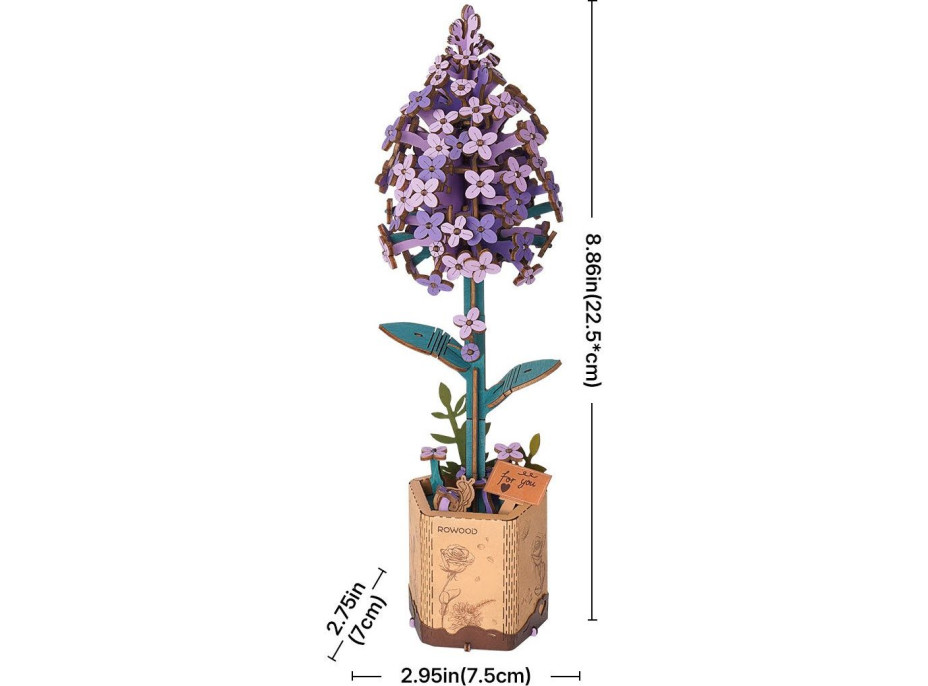 ROBOTIME Rowood 3D dřevěné puzzle Šeřík 154 dílků