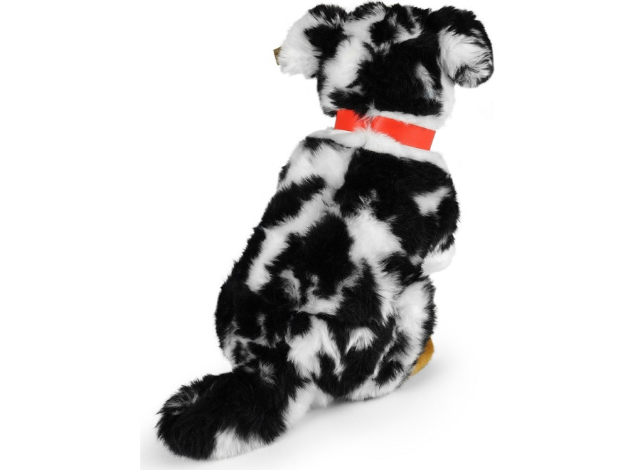 Rappa Plyšový pes australský ovčák 35 cm ECO-FRIENDLY