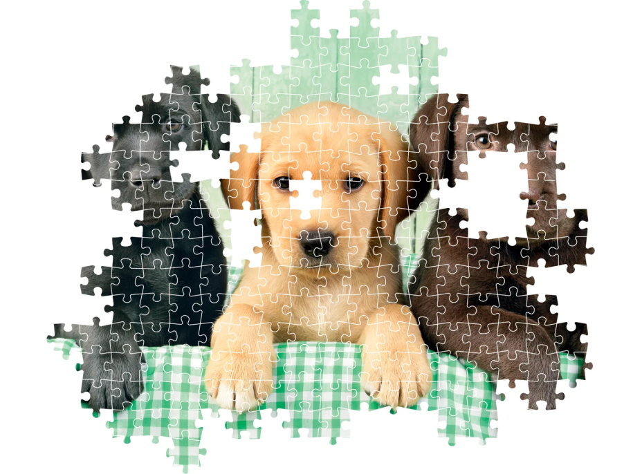 CLEMENTONI Puzzle Tři labradoři 1000 dílků